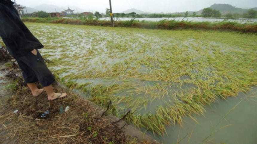 Trung Quốc: Mưa lớn gây ngập lụt trên diện rộng, Bắc Kinh giá rau tăng vọt