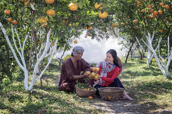 Cuộc đời có 3 báu vật lớn, bạn có bao nhiêu?